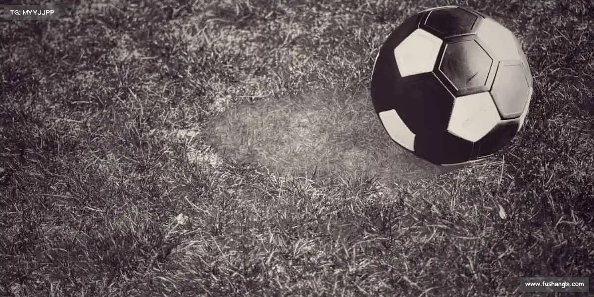 我们的核心竞争力